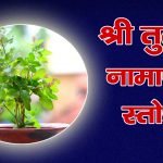 श्री नृसिंह कवच: मंत्र: Shri Narasimha Kavacham (Lyrics, Meaning, Hindi, English, PDF)