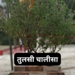 राधा चालीसा: Radha Chalisa (Lyrics, Meaning, Hindi, English, PDF)