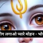आरती: श्री शनिदेव – जय जय श्री शनिदेव: Aarti Shri Shani Dev Ji (Lyrics, Meaning, Hindi, English, PDF)