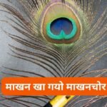 आ गया फागुन मेला: भजन (Aa Gaya Falgun Mela)